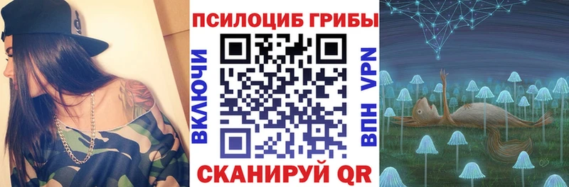 kraken рабочий сайт  Кимры  Псилоцибиновые грибы мицелий 